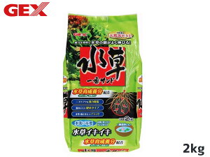 y11/1(y) Xܓ3_ȏwP20{zGEX ԃTh 2kg Mы Ϗ܋pi pi  WFbNX