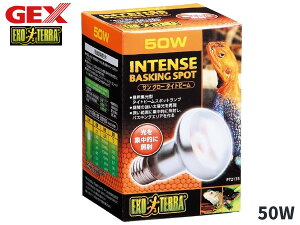 GEX �T���O���[ �^�C�g�r�[�� �o�X�L���O�X�|�b�g�����v 50W PT2135 ঒��� �����ޗp�i ঒��ޗp�i �W�F�b�N�X EXO TERRA