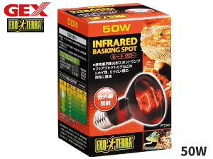 ySSԌ聚|CgUP&N[|{zGEX q[gO[ ԊOƎ˃X|bg v 50W PT2141 ঒ ޗpi ঒ޗpi WFbNX EXO TERRA