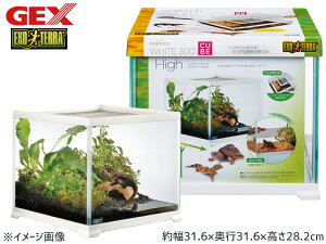 yGg[P5{`11/11()1:59܂ŁzGEX veAzCg 300CUBE High ঒ ޗpi ঒ޗpi ঒ރP[W WFbNX s 