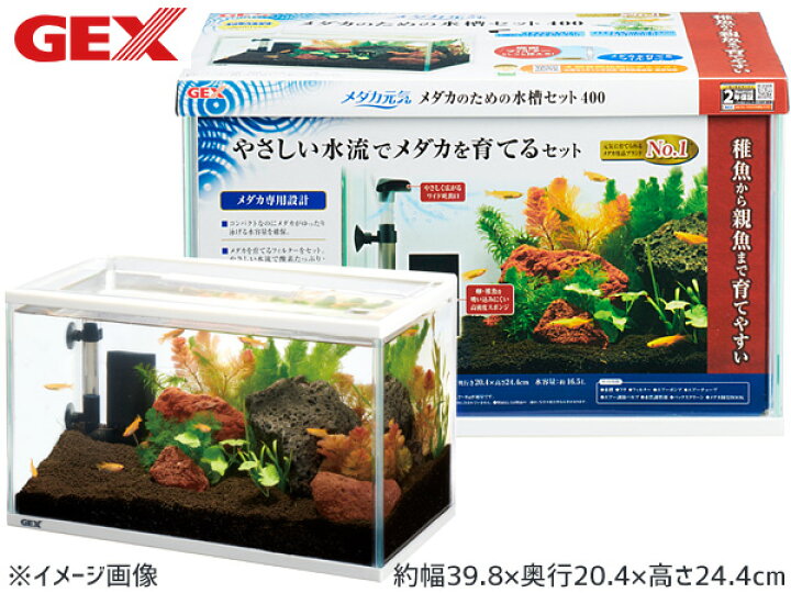 値下げ・追記】GEX 水槽＆水槽台 メダカ、グッピー、レッドシュリンプ 