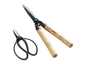 y12/1聚Pő20{`XIz~j   | K[fjO ͂   j Mtg v[g