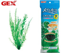 y11/1(y) Xܓ3_ȏwP20{zGEX _Ji VRY  Mы Ϗ܋pi pi ANZT[ WFbNX