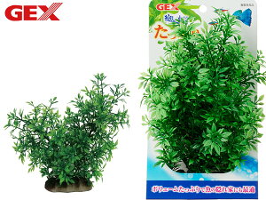 y11/1(y) Xܓ3_ȏwP20{zGEX i Ղ ^ Mы Ϗ܋pi pi ANZT[ WFbNX