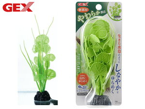 y11/1(y) Xܓ3_ȏwP20{zGEX i sAvc `hOT Mы Ϗ܋pi pi ANZT[ WFbNX