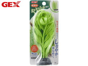 y11/1(y) Xܓ3_ȏwP20{zGEX i sAvc |Si Mы Ϗ܋pi pi ANZT[ WFbNX