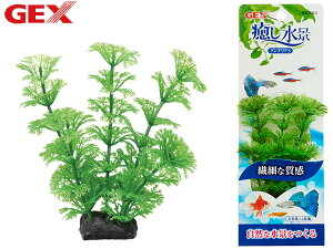 y11/1(y) Xܓ3_ȏwP20{zGEX i AuA S Mы Ϗ܋pi pi ANZT[ WFbNX