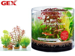 y11/1(y) Xܓ3_ȏwP20{zGEX i {gvc ^ Mы Ϗ܋pi pi ANZT[ WFbNX