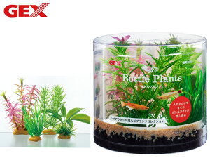 y11/1(y) Xܓ3_ȏwP20{zGEX i {gvc ~ItB Mы Ϗ܋pi pi ANZT[ WFbNX