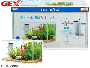 y11/1(y) Xܓ3_ȏwP20{zGEX TCgtBbgAt@500 Mы Ϗ܋pi  Zbg WFbNX s 