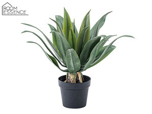 y12/1聚Pő20{`XIzJ tFCNO[ AKx GRN-14  lHϗt ϗtA CeA  [t ܂ [J[ 