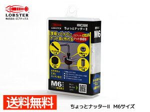 uebNX ƃib^[2 M6×1.0 Gribg ibg` M6TCY HNC26M [ 