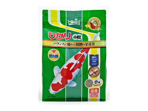 yGg[P5{`11/11()1:59܂ŁzЂ  1.2kg ǎzAvŔьɁI Ϗ܋p p p t[h Hikari