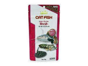 y11/1(y) Xܓ3_ȏwP20{zЂNXg Lbg 75g Dꂽh{Ŕ͂̂鋛̂ybgI Ϗ܋p Mыp Mыp t[h Hikari