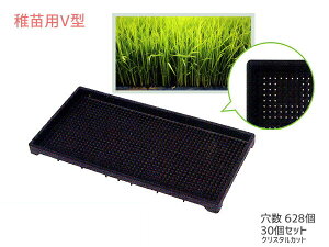 yGg[P5{10/14 20`10/16܂Łztcp c p 628 60×30×3.7cm 30Zbg tcpV^ ې NX^Jbg  ubN ACJ aika zsnL @l̂ݔz 