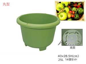 yGg[P5{11/20 20`11/26܂Łz v^[ ؉ v^[ 25L 400ی^ 14Zbg 40×28.5H(cm) [^  O[ ACJ aika zsnL @l̂ݔz 