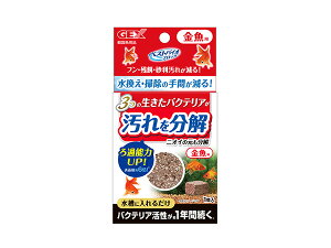 y11/1(y) Xܓ3_ȏwP20{zGEX xXgoCIubN p Ϗ܋pi pi RfBVi[oNeA𕪉