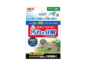 y11/1(y) Xܓ3_ȏwP20{zGEX xXgoCIubN  Ϗ܋pi pi RfBVi[oNeA𕪉