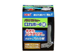 y11/1(y) Xܓ3_ȏwP20{zGEX J{[CM oNeAp[ Ϗ܋pi pi tB^[|voNeAőfꕪ