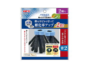 y12/1聚Pő20{`XIzGEX _JC ̂Y  2 Ϗ܋pi pi@ۂśzAbv