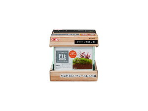 GEX �O���X�e���A �t�B�b�g 100CUBE �Ϗ܋��p�i ���� �K���X�������i���������t���[�����X����