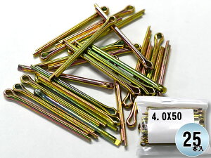yGg[P5{10/14 20`10/16܂ŁzXRԍH s s 25{ 4.0X50CP ha 4.0  50 4.0×50CP ܂Ƃߔ ėpi lR|X 