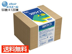 GG[ vCv EGX \tg^t ^I 50 120 703356 ܂Ƃߔ 380mm×280mm 剤 @l̂ݔz 