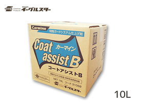 【エントリーでP5倍★〜11/11(火)1:59まで】イーグルスター カーマイン コートアシストB 10L BinB 洗車機用 ビユーテー 対応 31059 法人のみ配送 配送不可地域有 送料無料
