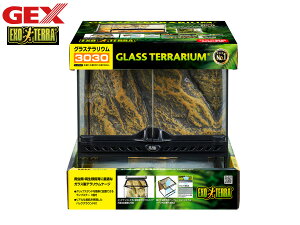 y12/1聚Pő20{`XIzEXO TERRA OXeE 3030 PT2600  31.5×s31.5×33cm fUCɗDꂽ঒ށEގP[W GEX 