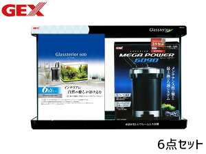 GEX OXeA600 6_Zbg  60×s30×40cm 60cm 65L  OtB^[ Zbg ʉH x 