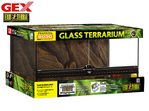 yGg[P5{+100~N[|{I9/4 20:00`9/10zEXO TERRA OXeE 6030 PT2604  61.5×s46.5×33cm ঒   KXeEP[W GEX 