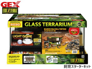 y11/1(y) Xܓ3_ȏwP20{zEXO TERRA tgASqQgJQNKZbg BK 13_Zbg ꂾŎJnł Zbg KCht GEX 