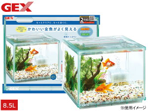 y11/1(y) Xܓ3_ȏwP20{zGEX C ԂԂNA 250CUBE  25×s25×20cm ォy߂違[^CṽNAt[Zbg 