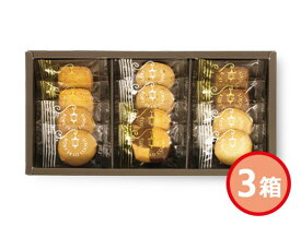 【1/9 20時〜エントリーポイント5倍★1/15迄】神戸 トラッドクッキー 3箱 ココナッツ 紅茶 チョコアーモンド カフェキャラメル モザイク プレーン TC-5 化粧箱入 返礼品 贈答 税率8％