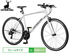 LveX^bO AN 70021 520 Vo[ 21iϑ A~t[ ] TCN YG-1482 [J[ @l̂ݔz