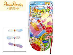 �J�V���J�V�� �т��т�� �L����炵 ���C���[ �˂� �L �l�R �L��p �L�p �������� �L���b�g �y�b�c���[�g