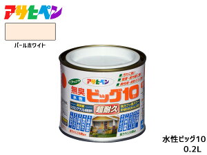 yGg[P5{11/20 20`11/26܂ŁzATqy rbO10 pr 200ml (1/5L) p[zCg pr h O c 1h hJr Tr~ L ϋv \^