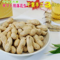 落花生 詰合せ　 NB2025年度産 新豆千葉 やちまた 産 千葉半立御中元暑中見舞誕生日プレゼントおつまみ千…