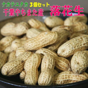 2025NY Vt Ԑ uiJev3Zbgt ₿܂ Y s[ibc܂݃s[ic