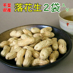 2025NYEVԐ l@N2uiJe^Jvt ₿܂ Y s[icav[g܂ݐtY s[ibcyzyyMt_zyyMt_̂z