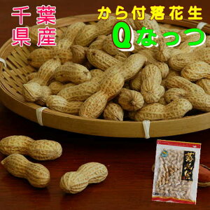 t XY Ԑ 2025NY Vu QȂv t ܁E280g ܂݂₿܂Y s[ibcYԐ V