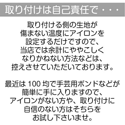 楽天市場 アイロンワッペン 国際連合の旗 Mサイズ United Nations 文字入り 国連 Onu Un 八雲堂