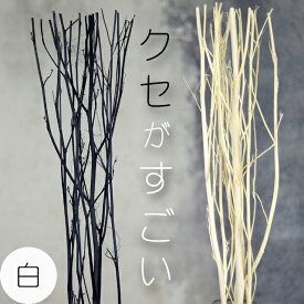 【30cm・30g】アロマディフューザー用リードスティック 天然 リアルウッド　(香り twig ルームフレグランス 交換用 業務用 aroma)