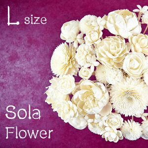 y\t[LTCYz1R@[hXeBbN^Cv@A}fBt[U[ [^X/K[x/_A/O/[Y/K[fjA@( Lotus dahlia @ Peony Gardenia KN N`iV )