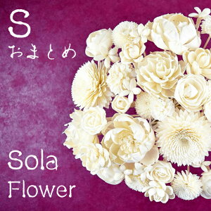 y\t[STCY ܂Ƃ 32z[hXeBbN^Cv A}fBt[U[ RXX/[Y/[^X/K[x/4~bNX ^XeBbNt@( o Lotus @ aroma)