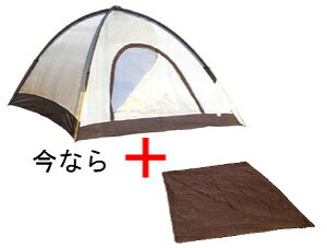 yACegz Cy@GACY3 Ȃ珃A_[V[gt