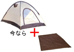 yACegz Cy@GACY2 Ȃ珃A_[V[gt