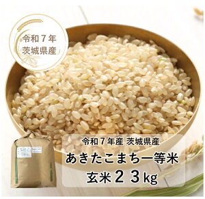 yāzy23kgzyߘa7NYzy܂zy錧Yzyꓙāzu7NY  ܂ꓙ 23kgv