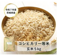 【玄米】【5kg】【コシヒカリ】【送料無料】【検査一等米】【7年産】「7年産 茨城県産 コシヒカリ一等米 …