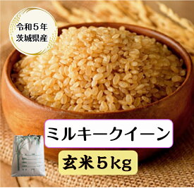 【送料無料地域あり】【令和5年産】【ミルキークイーン】【玄米】【一等米】「令和5年産 茨城ミルキークイーン☆玄米5kg」